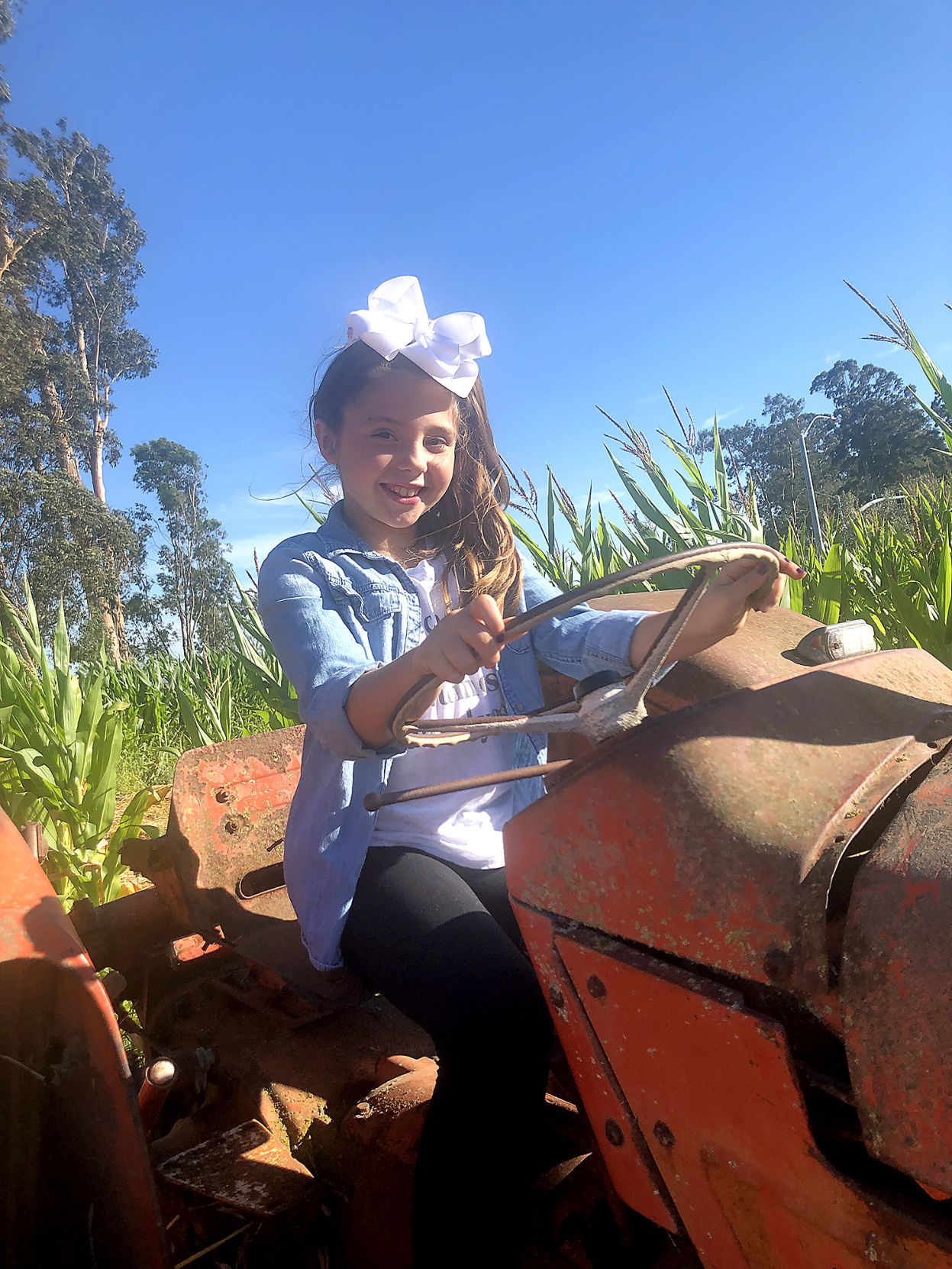 Pumpkin Patch